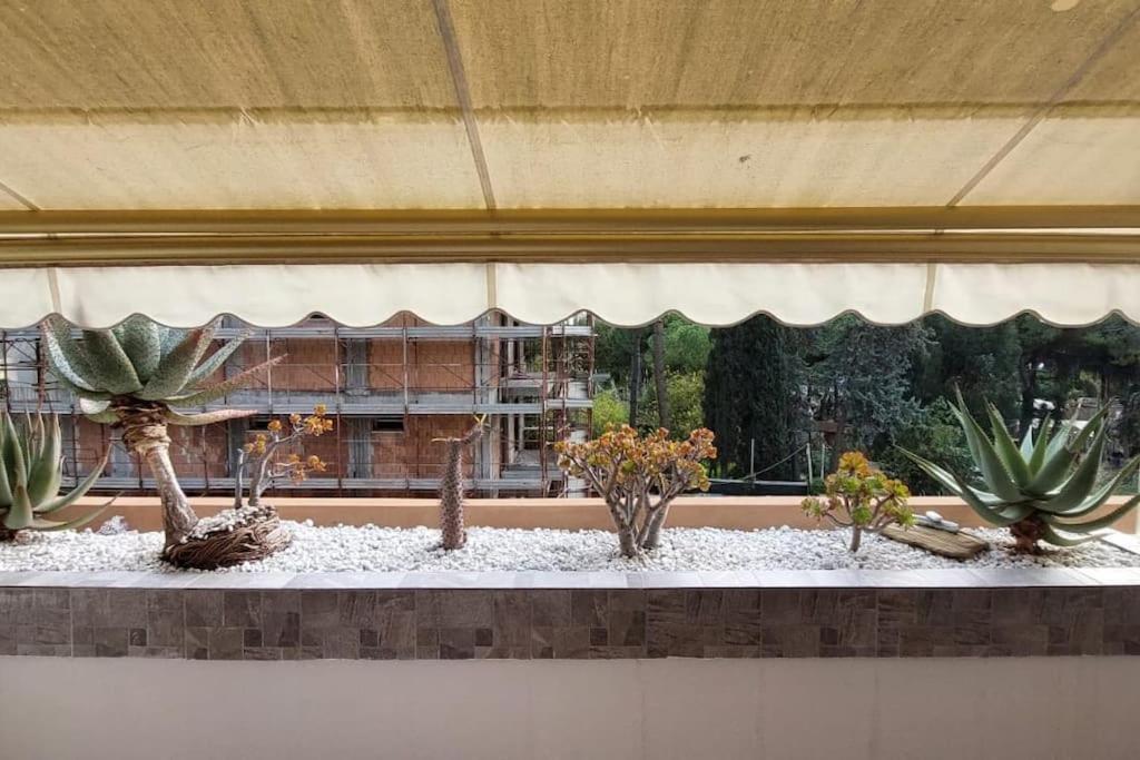 Apartament Ampio Monolocale Con Terrazzo - A 2 Passi Dal Mare Latte Zewnętrze zdjęcie